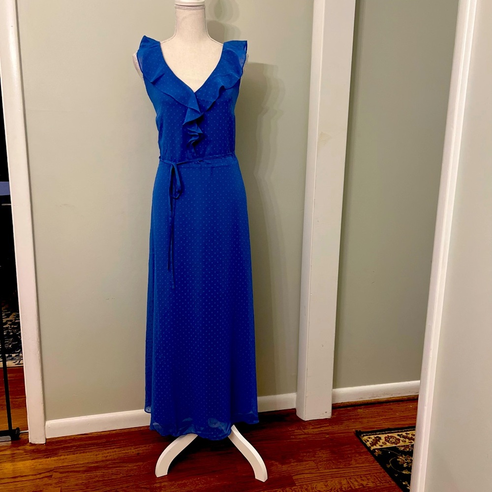 Stunning blue lined dotted Swiss ruffled v-neck dress!
